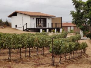 Casita 1 and Vineyard